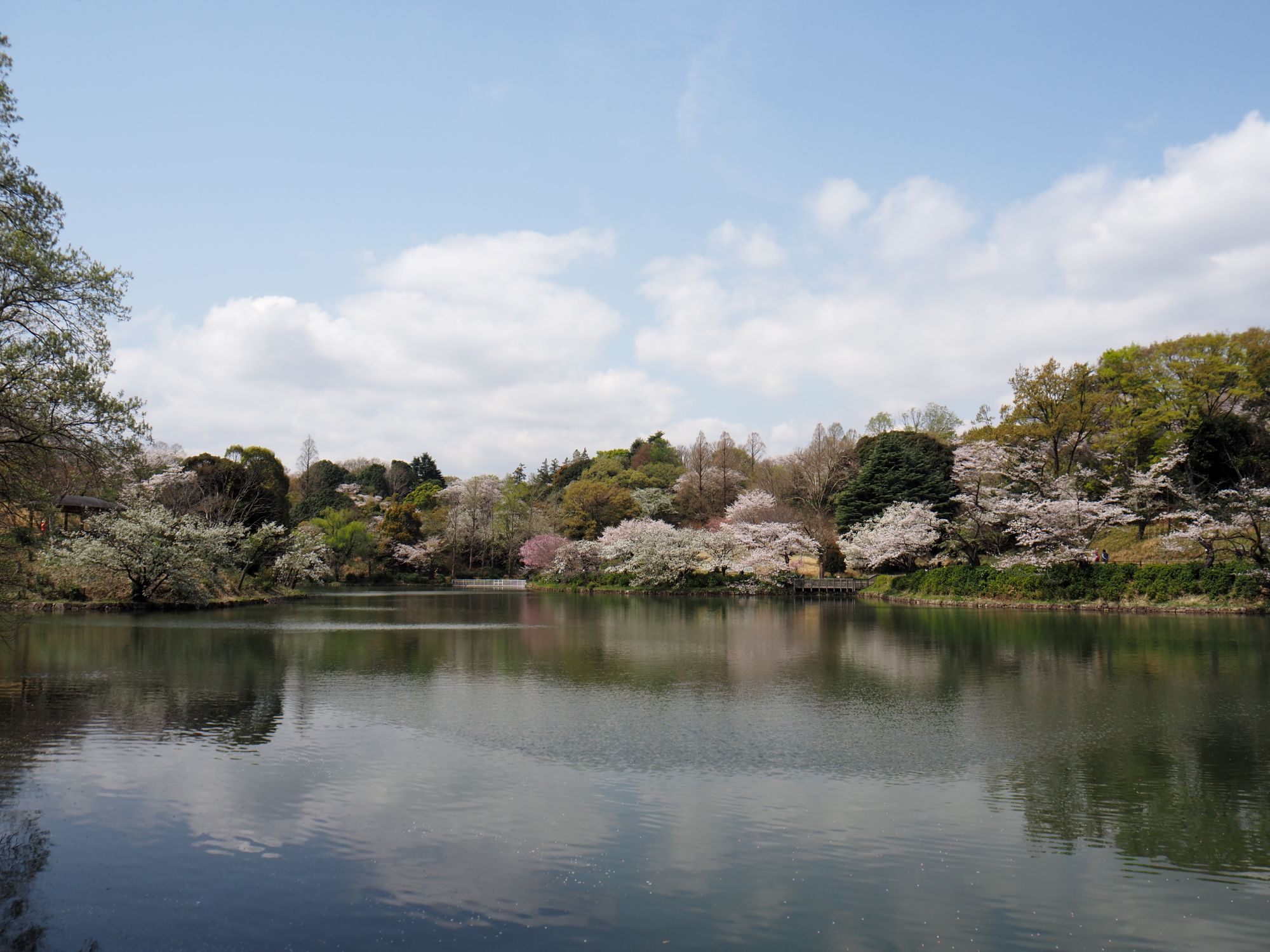三ツ池公園　概観写真